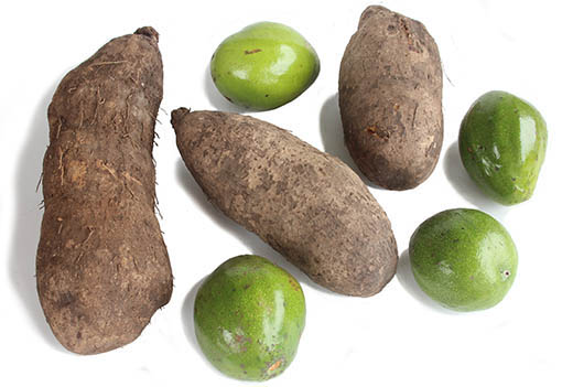 Avocados Yam