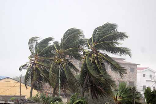 Sturm